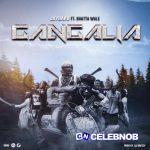 Jay Bahd – Gangalia Ft. Shatta Wale