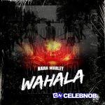 Naira Marley – Wahala