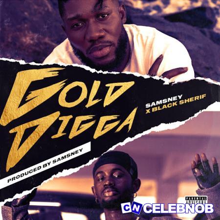 Cover art of Samsney – Goldigga ft.  Black Sherif