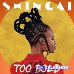 Shingai – Intro - Too Dark?