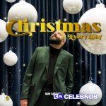 Son Savage – Christmas Every Day