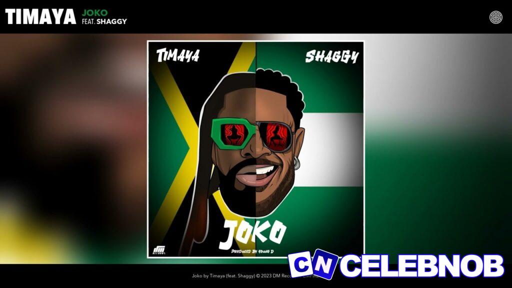 Cover art of Timaya – Joko