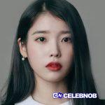 BBIBBI (English Translation) Lyrics by IU