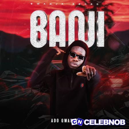 Cover art of Ado Gwanja – Bani