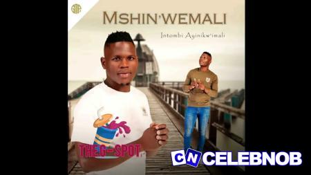 MSHINWEMALI – Ngicel Uhambe ft Zothando Latest Songs