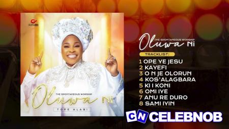 Cover art of Tope Alabi – Omi Iye