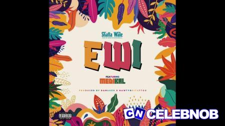 Cover art of Shatta Wale – Ewi (Thief) Ft Medikal