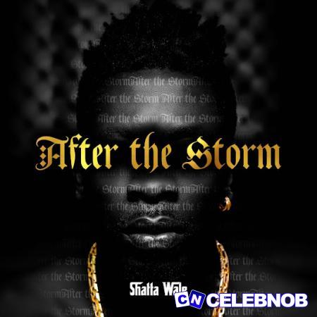 Cover art of Shatta Wale – Mahama Paper