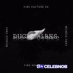 Vibekulture Sa – Duck Vibes Ft Mcdeez Fboy