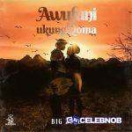 Big Zulu – Awufuni Kungiqoma