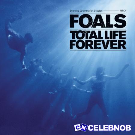 Cover art of Foals – Spanish Sahara