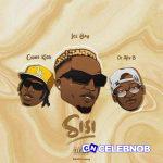 Iceboy – SISI ft Chino Kidd & Dj ALLY B