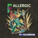 PapaRaZzle – ALLERGIC Visualizer