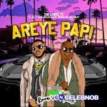 The Lowkeys – Areye Papi Ft. Jelly Babie, Tshego Dee, Tskay de Musiq & Ocean Biller