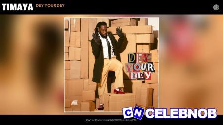 Cover art of Timaya – Dey Your Dey