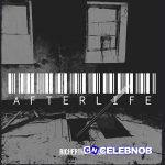 Richerthanmusk – Afterlife