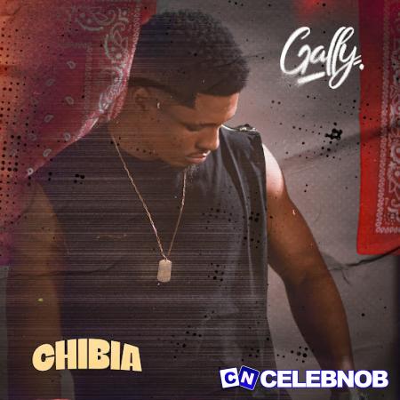 Cover art of Gally – Chibia