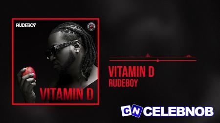 Cover art of RudeBoy – Vitamin D