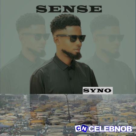 Cover art of SYNO – Sense