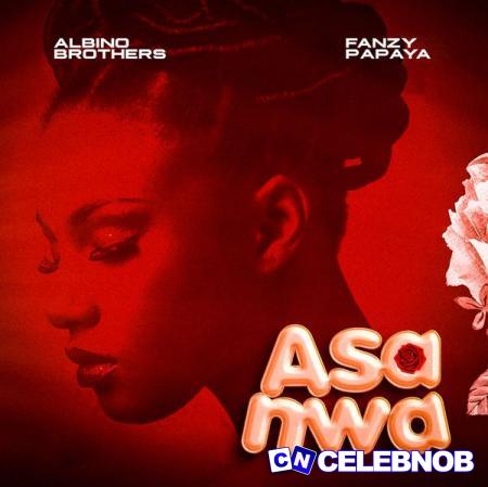 Cover art of Albino Brothers – Asa Nwa ft Fanzy Papaya