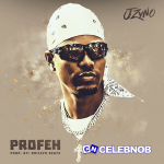 JZyNO – Profeh