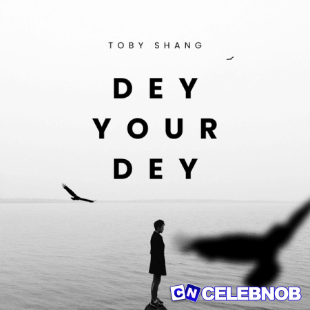 Cover art of Toby Shang – Dey Your Dey