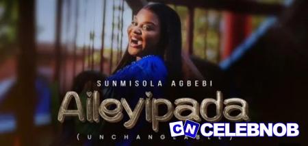 Cover art of Sunmisola Agbebi – AILEYIPADA