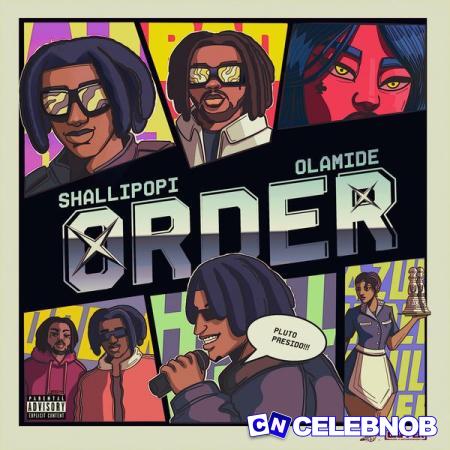 Shallipopi – Order ft Olamide Latest Songs