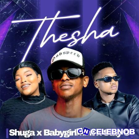 Cover art of Shuga – Thesha ft Babygirlmint & Stay C