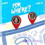 Bayanni – For Where? Ft. Zerrydl