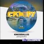 Kingseballos – Canopy