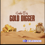 Saidaboj – Gold digger