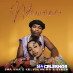 Sha Sha – Ndawana ft. Kelvin momo & Sykes