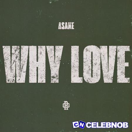 Cover art of Asake – WHY LOVE