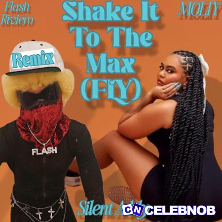 Cover art of Flash Riviero – Shake It To The Max (Remix) [FLY] Ft MOLIY