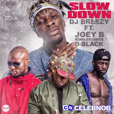 Cover art of DJ Breezy – Slow Down Ft. D-Black, Joey B & King Promise