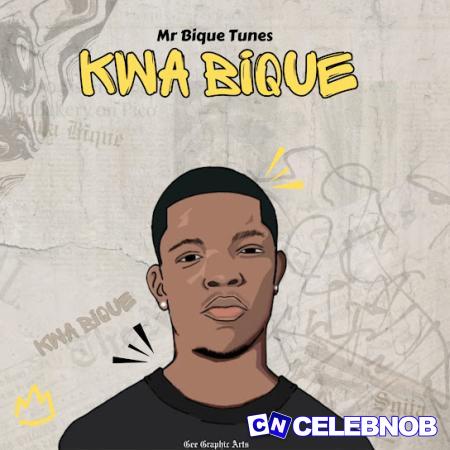 Cover art of Mr Bique Tunes – Basic