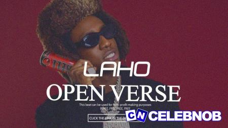 Cover art of Shallipopi – LAHO (New Song)