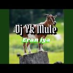 Dj Yk Mule - Eran Iya