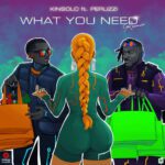 Kinsolo – What You Need ft Peruzzi (Remix)